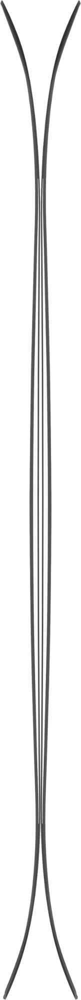 120 Skis A61979