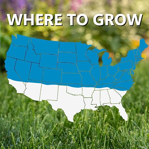 Blue Panther Kentucky Bluegrass Grass Seed (25 lb) M852
