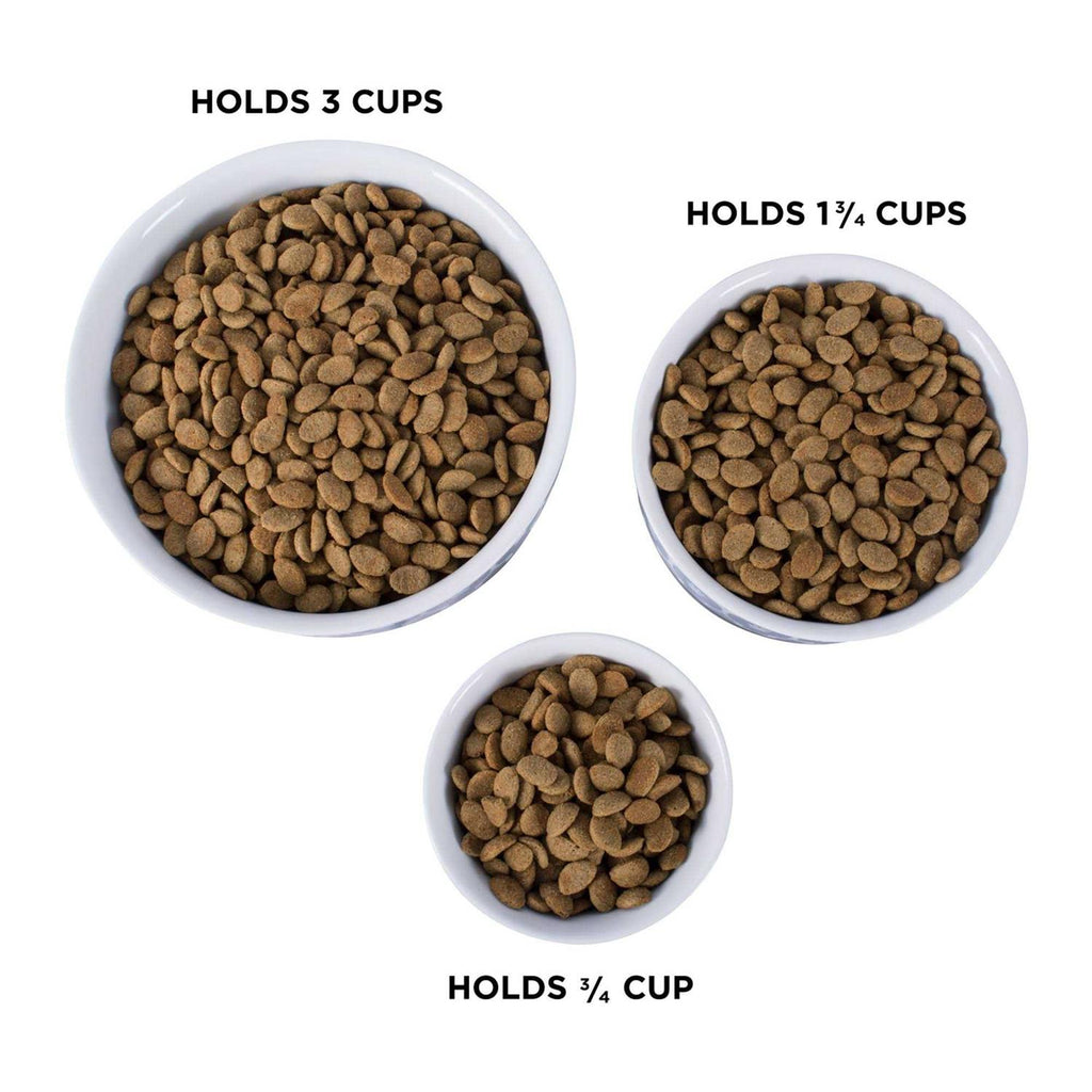 Bone Dry Paw Patch Pet Bowl C3846