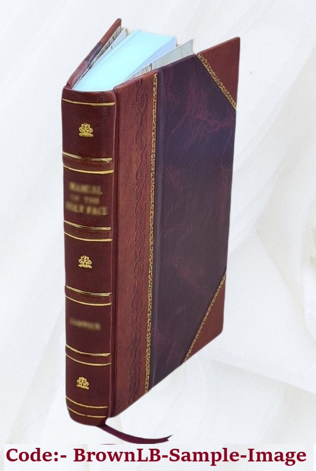 Germany, the next republic? By Carl W. Ackerman. 1917 [Leather Bound] D4737