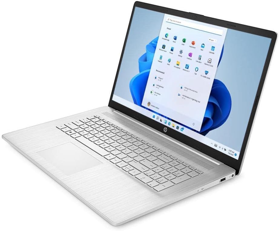17.3'' HD+ Touchscreen AMD Ryzen 5 5500U Notebook Laptop, Silver, 16GB RAM, 1TB HDD H1011