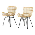 Rattan Dining Chair with Armrests, Set of 2, Black T437225