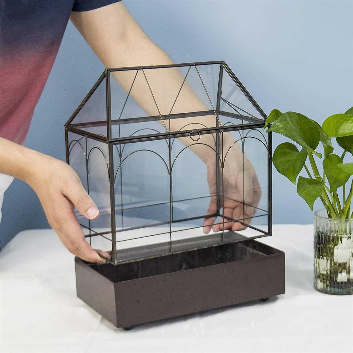 Large Tall Glass Plant Terrarium with Tray P71114