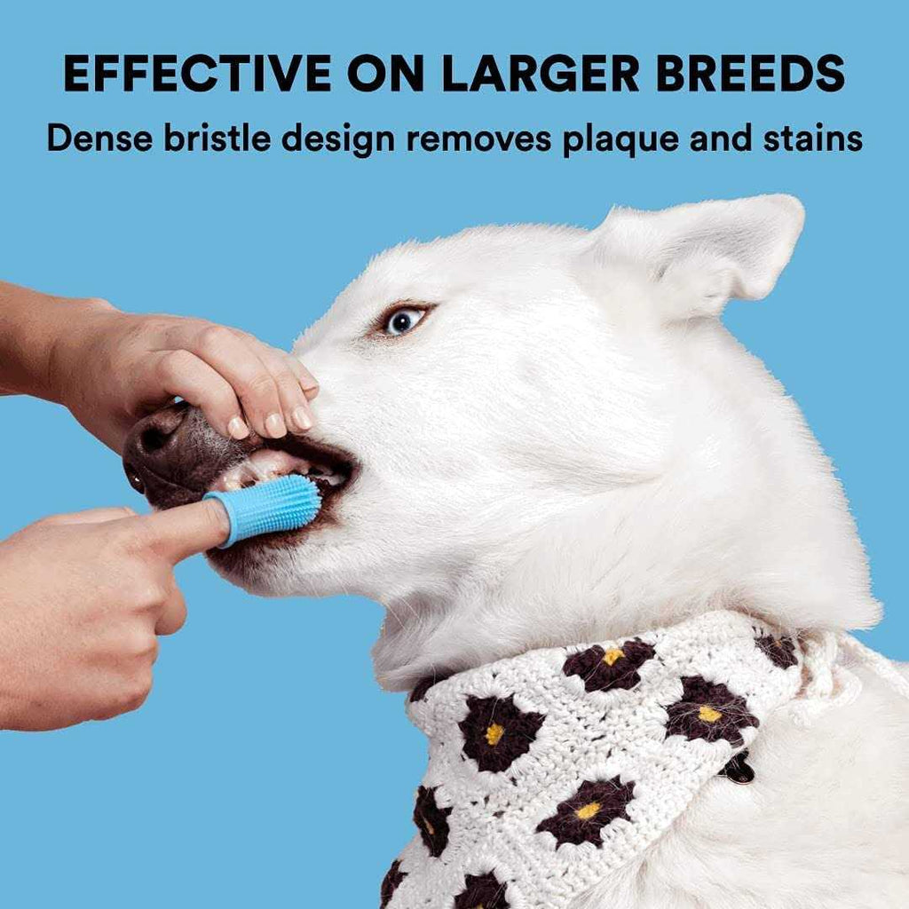 Dog Toothbrush B122