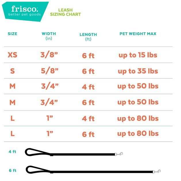 Solid Nylon Dog Leash D58776