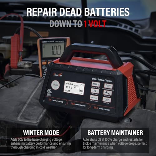 12V Fully Automatic Smart Battery Charger J8242