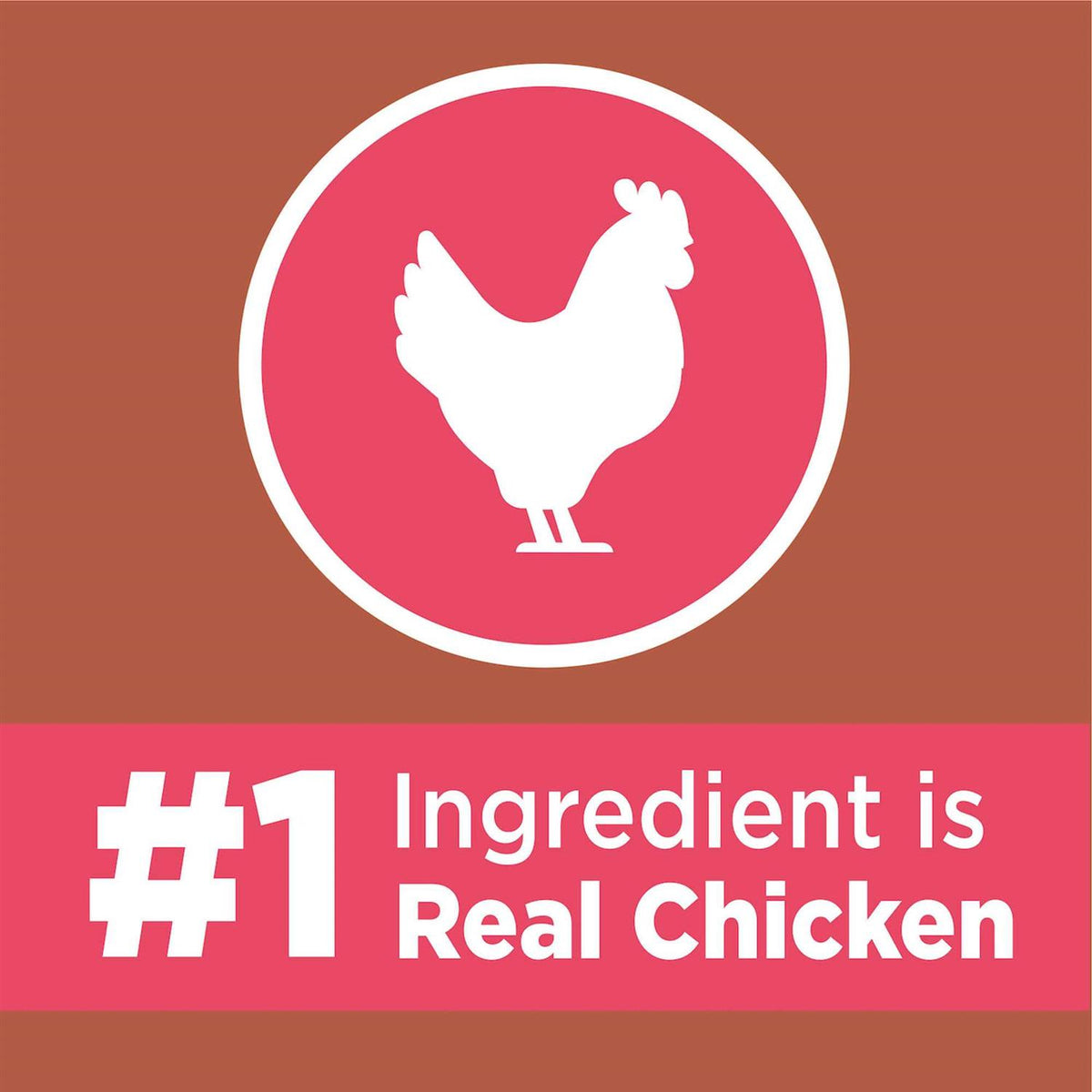 High Protein Adult Dry Cat Food with Chicken & Salmon G446556
