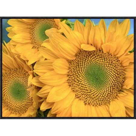 Framed Photographic Print I635