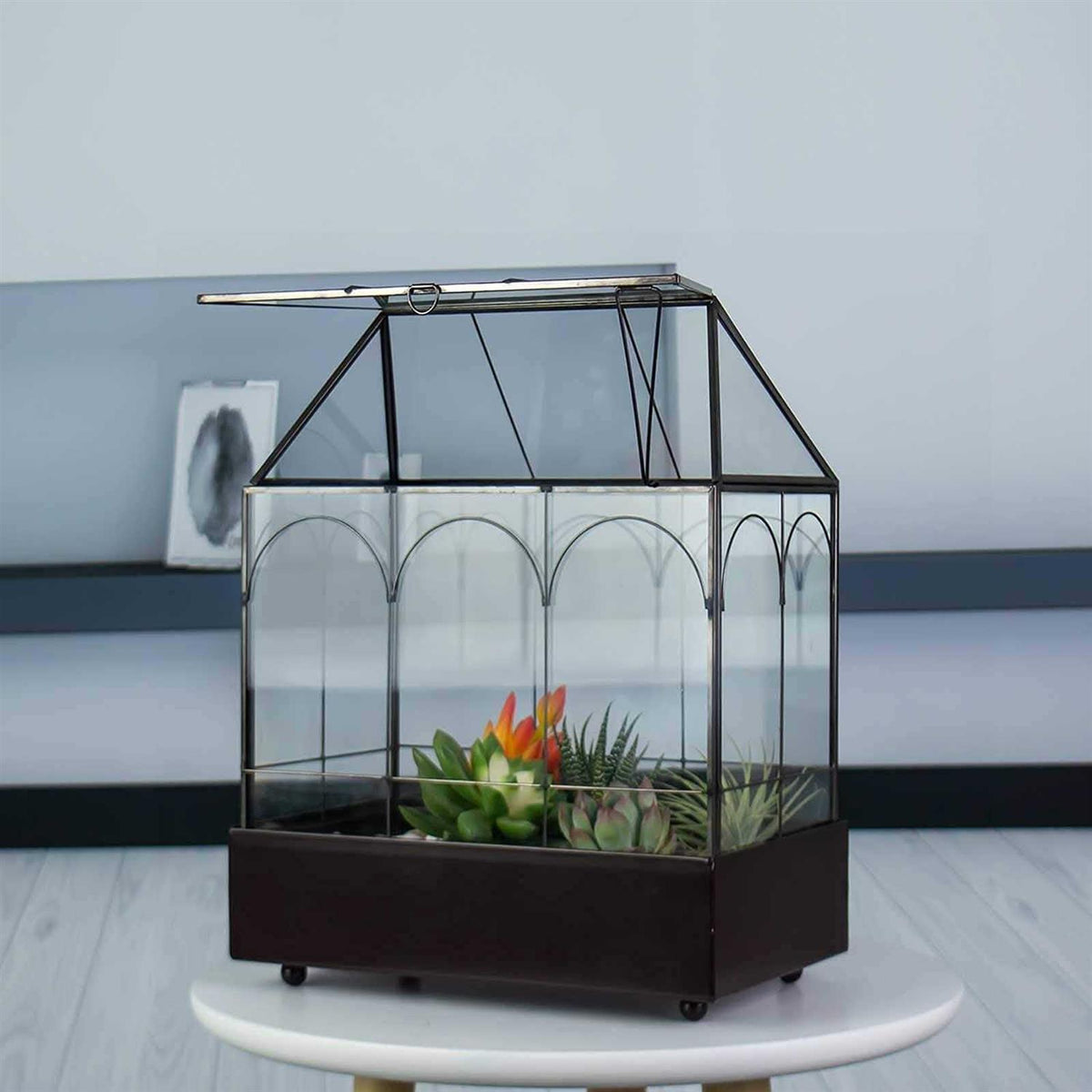 Large Tall Glass Plant Terrarium with Tray P71114