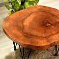 Walnut Live Edge Solid Wood Round Coffee Table (24") T263338