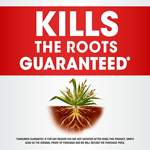 64 oz Weed and Grass Killer with Easy Measure Cap W482904