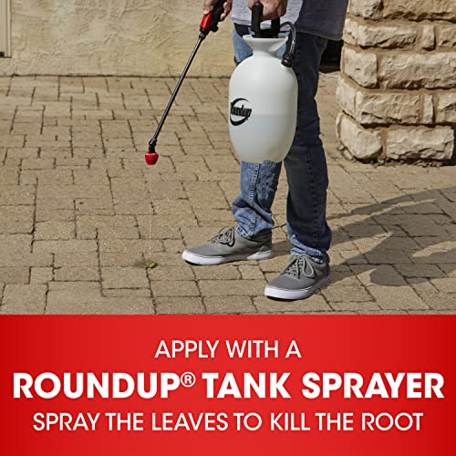 64 oz Weed and Grass Killer with Easy Measure Cap W482904