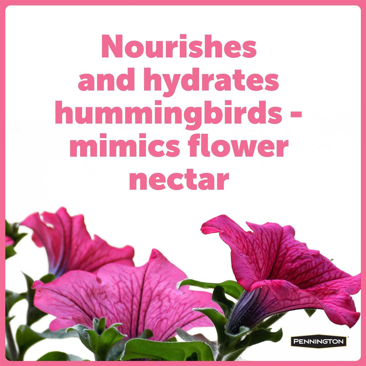 Electro Nectar Liquid Concentrate T616474