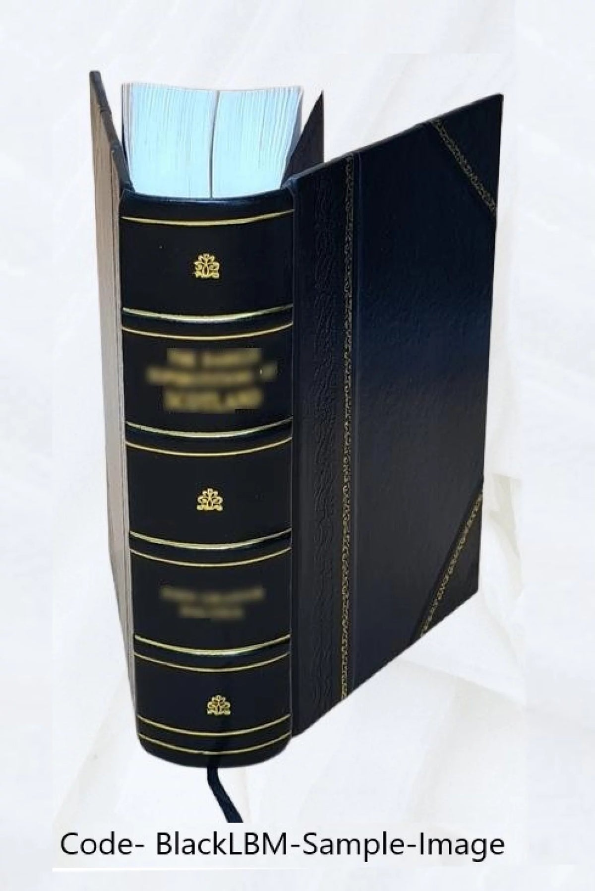 Leather Bound Book P3238