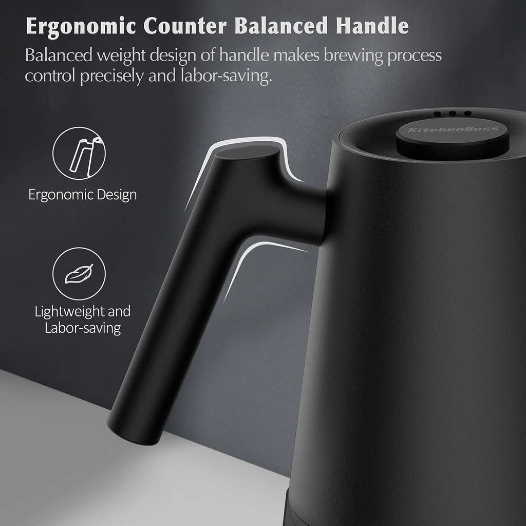 Charcoal Black Electric Gooseneck Coffee Kettle I252605