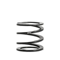 Linear Tender Spring I273762
