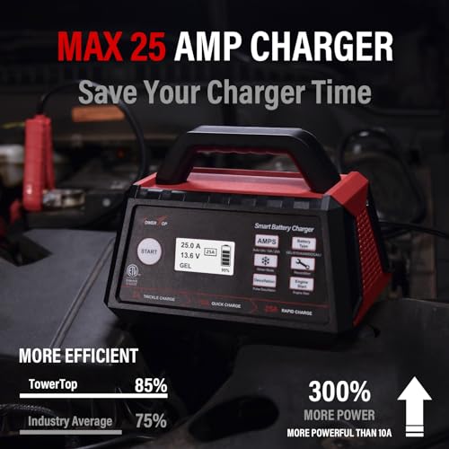 12V Fully Automatic Smart Battery Charger J8242