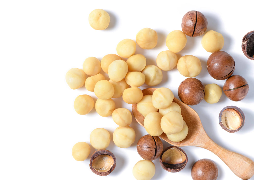 Macadamia Nuts 2 Pounds Y274
