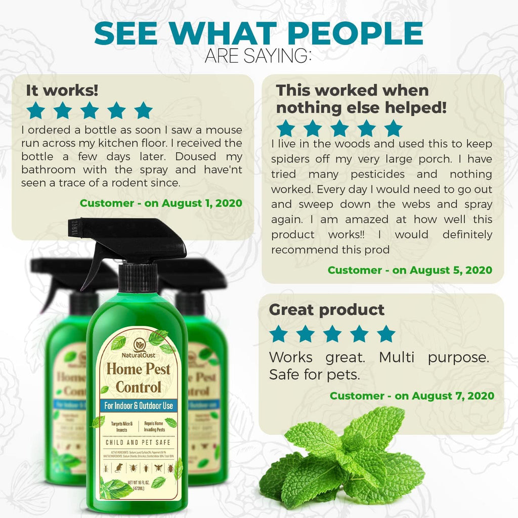 Peppermint Oil Mouse Repellent Spray Y2474
