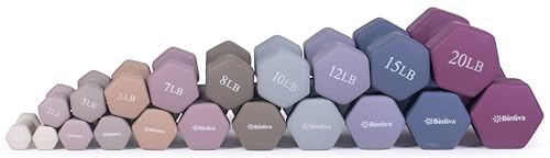 Neoprene Coated Hex Dumbbell Set with Rack 1-20 LBs F50480