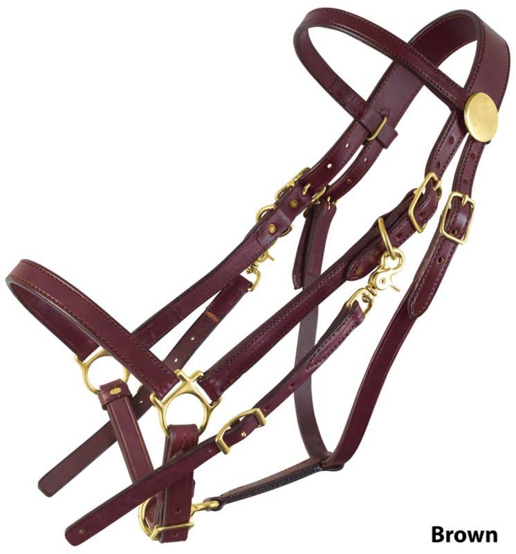 Brass Halter Bridle Large Black G26144
