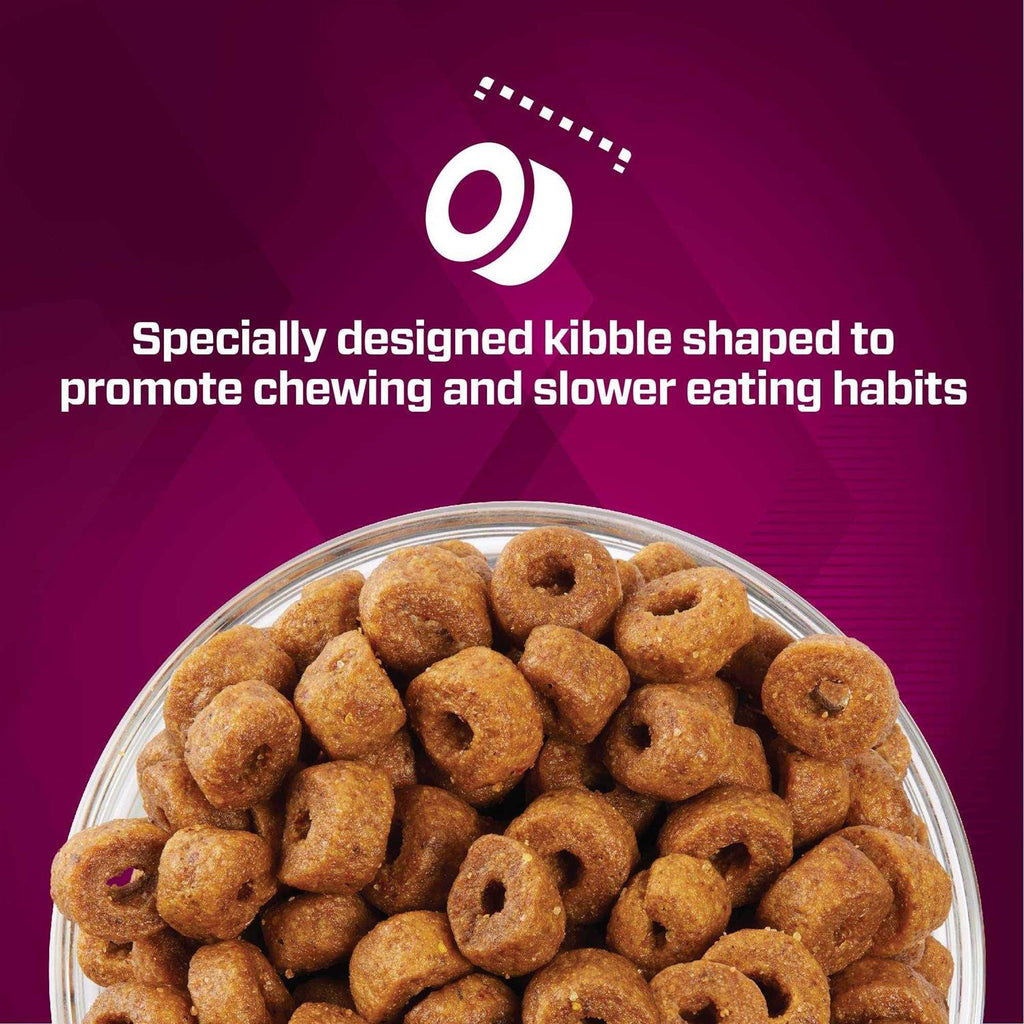 Dry Dog Food L182