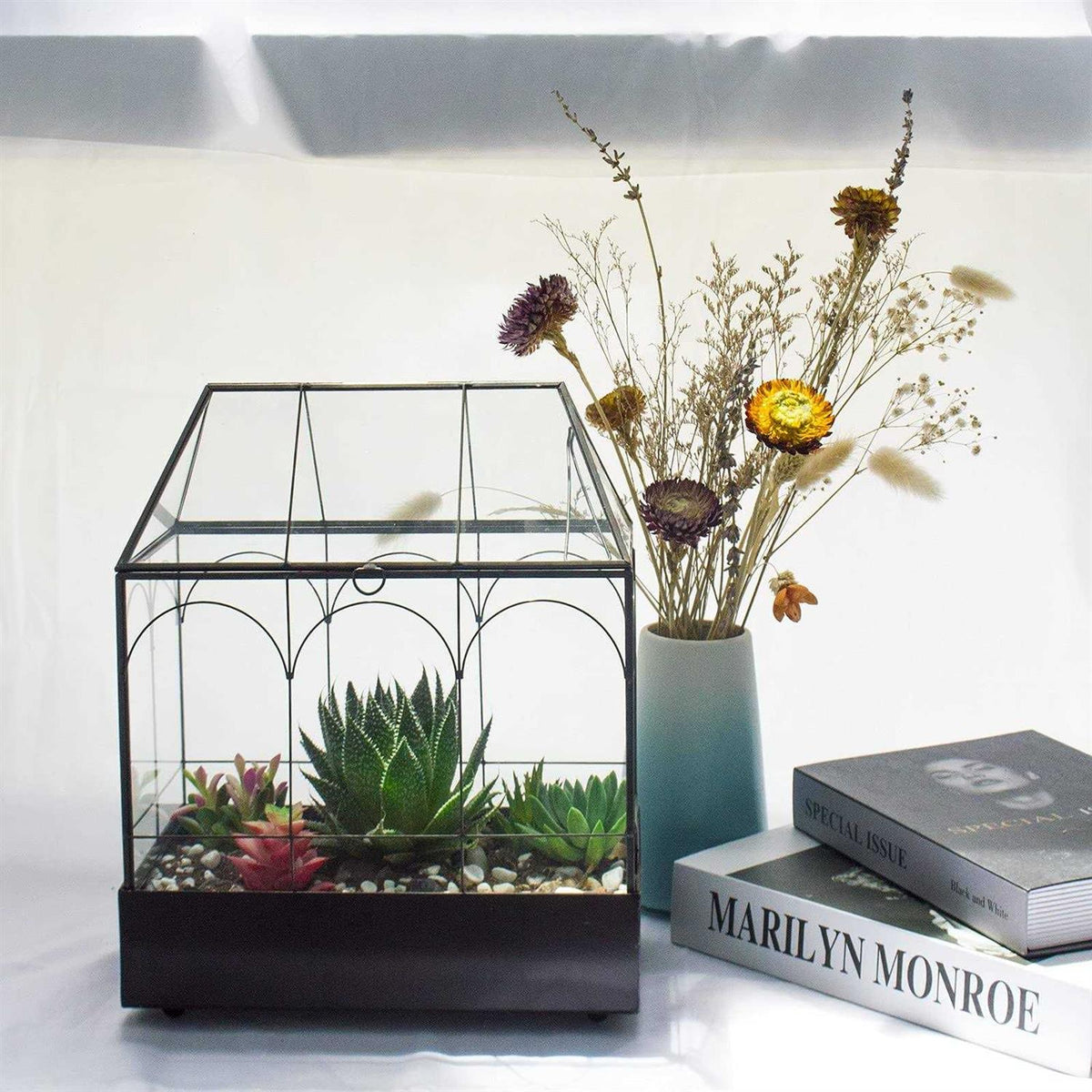 Large Tall Glass Plant Terrarium with Tray P71114