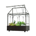 Large Tall Glass Plant Terrarium with Tray P71114