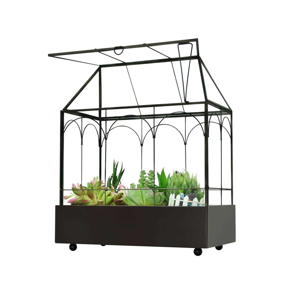 Large Tall Glass Plant Terrarium with Tray P71114