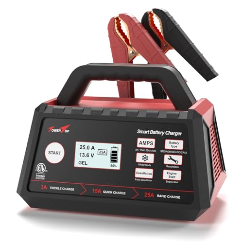 12V Fully Automatic Smart Battery Charger J8242