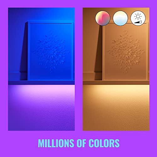Multicolor LED Light Strip Y403204