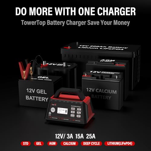 12V Fully Automatic Smart Battery Charger J8242