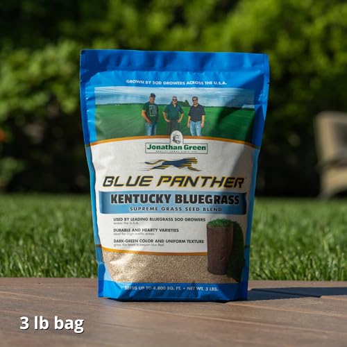 Blue Panther Kentucky Bluegrass Grass Seed (25 lb) M852
