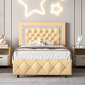 Black Queen Size Upholstered Platform Bed with Tufted Headboard O90506