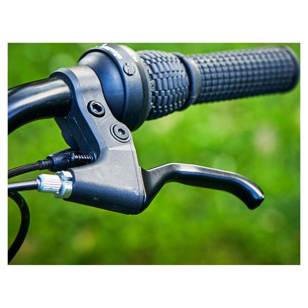 24 21-Speed Mountain Bike with Disc Brakes B831