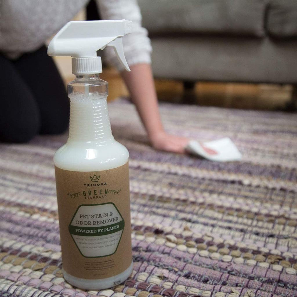 Natural Pet Stain and Odor Remover Enzyme Cleaner Spray 32 OZ Pack of 2 O248