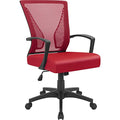 Black Ergonomic Mesh Office Chair with Armrest H231
