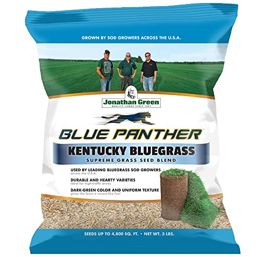 Blue Panther Kentucky Bluegrass Grass Seed (25 lb) M852
