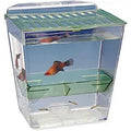 Home Goods Z5706