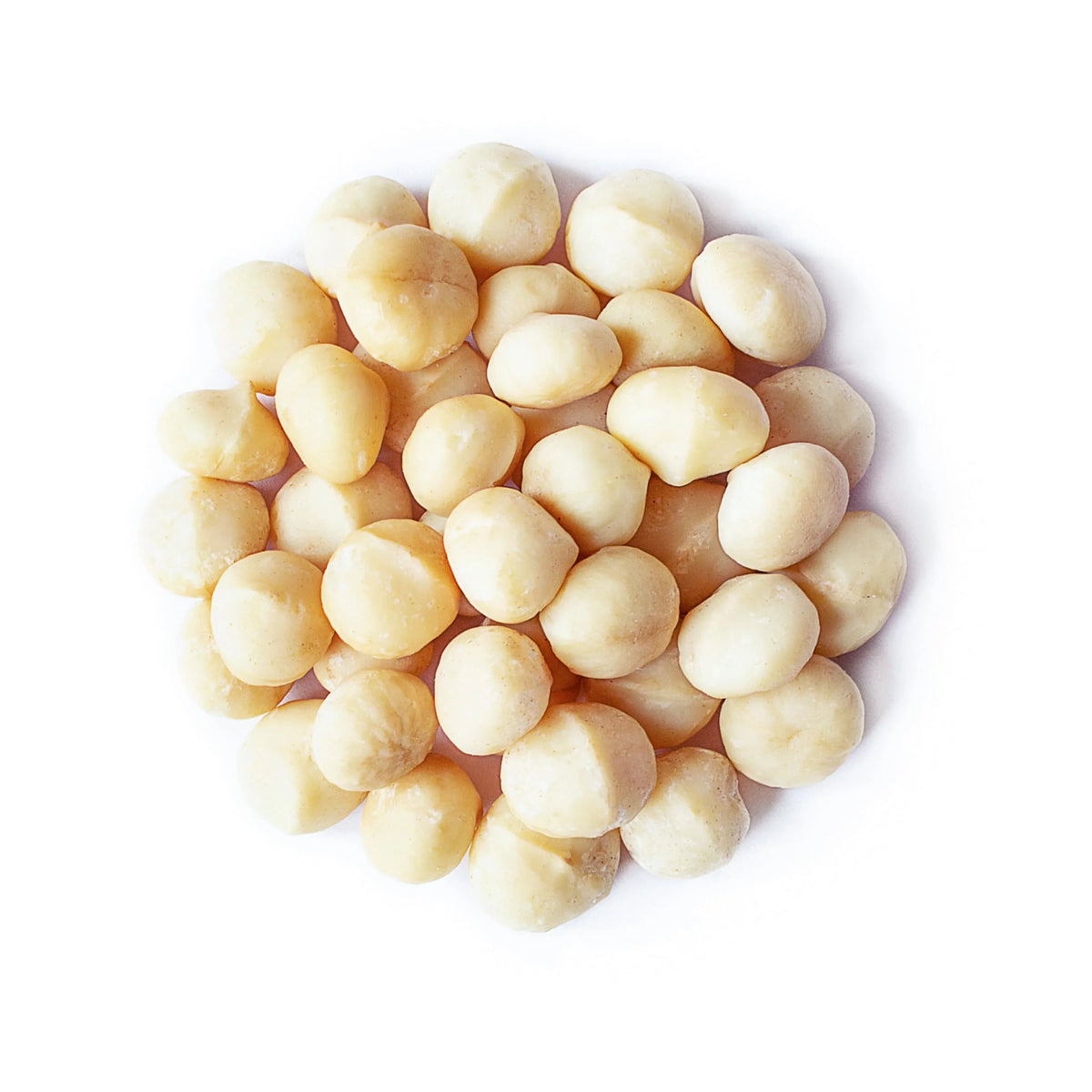 Macadamia Nuts 2 Pounds Y274