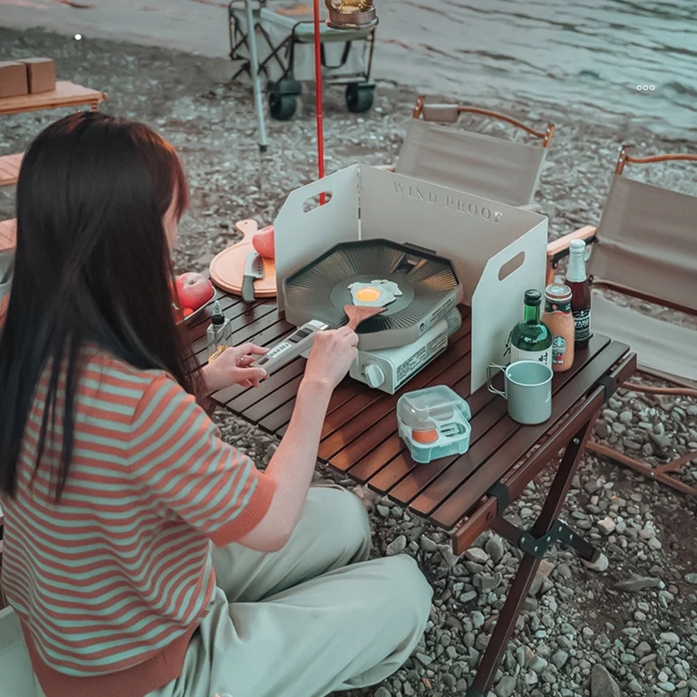 Portable Butane Camping Stove F991970