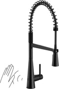 Matte Black Single-Handle High Arc Pulldown Kitchen Faucet H29530