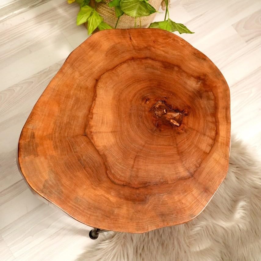 Walnut Live Edge Solid Wood Round Coffee Table (24") T263338