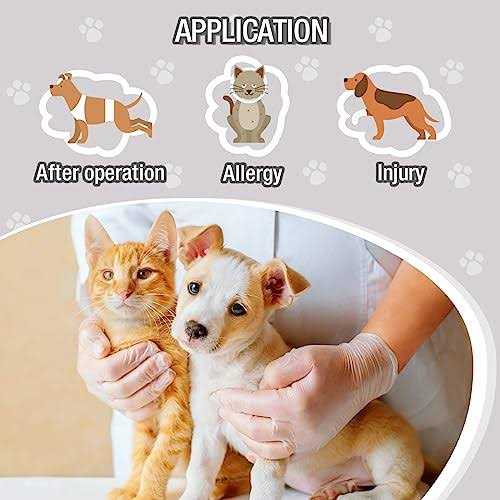 Inflatable Dog Cone Collar O173543