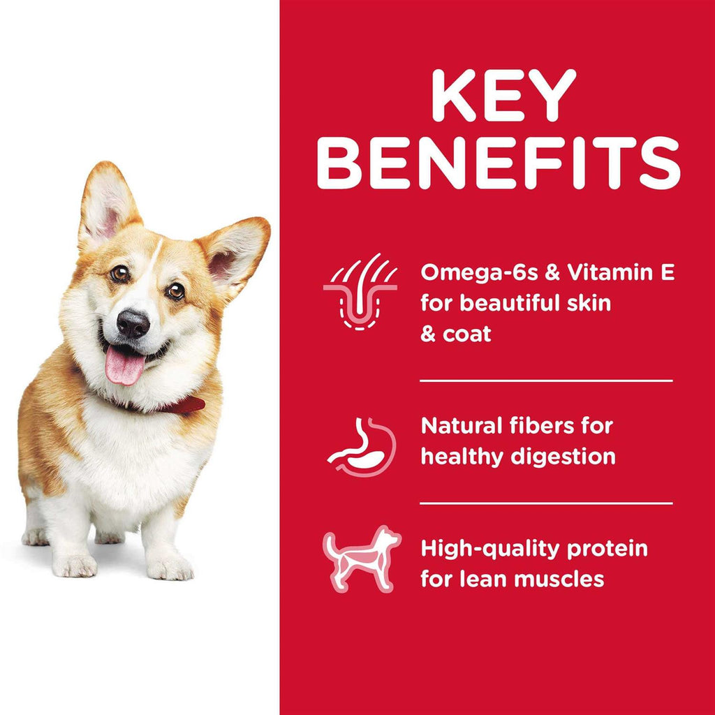 Dog Food Q928652