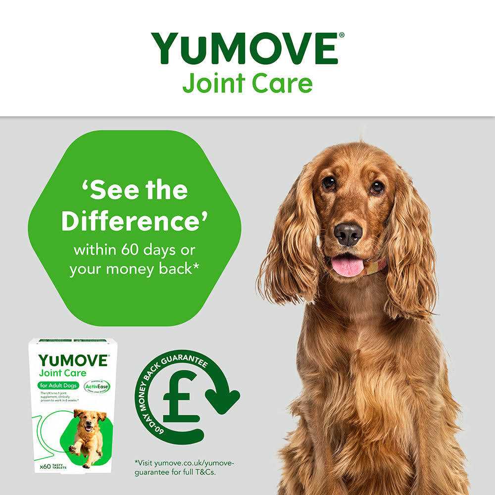 Dog Joint Tablets J841