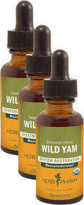 Organic Wild Yam Liquid Extract 1 Ounce Pack of 3 T1437