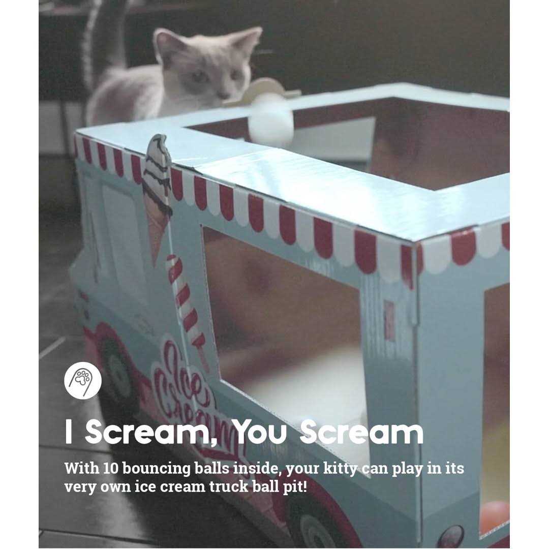 Cardboard Ice Cream Truck Cat Toy H639518
