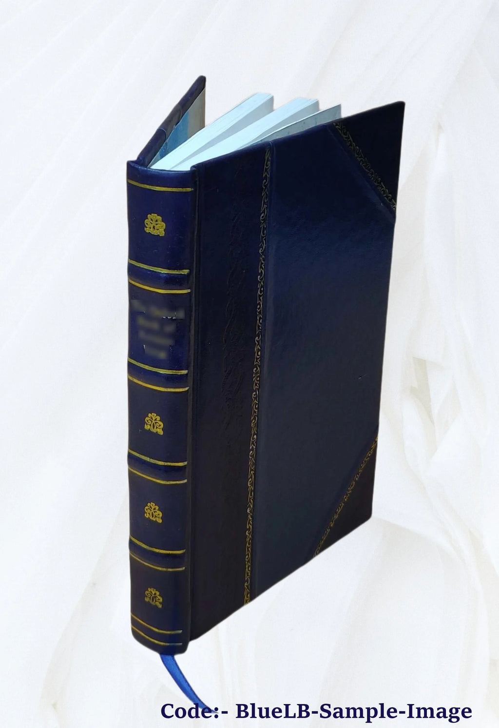 Germany, the next republic? By Carl W. Ackerman. 1917 [Leather Bound] D4737