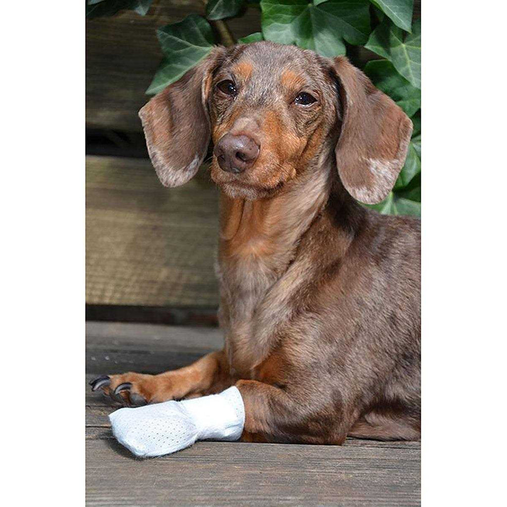 Paw Bandages for Dogs Cats and Pets A701912
